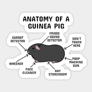 Anatomy of a Guinea Pig: Black (Black  Text) Sticker